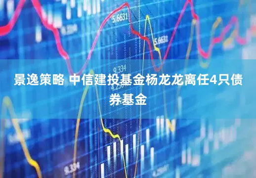 景逸策略 中信建投基金杨龙龙离任4只债券基金