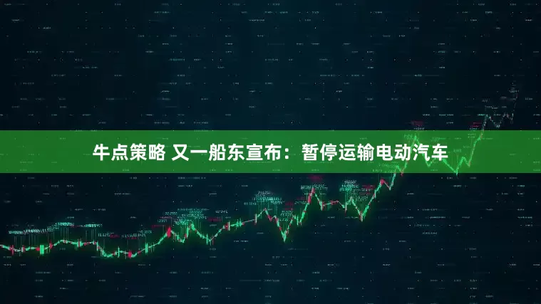 牛点策略 又一船东宣布：暂停运输电动汽车