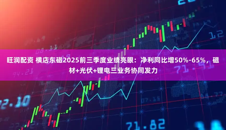 旺润配资 横店东磁2025前三季度业绩亮眼：净利同比增50%-65%，磁材+光伏+锂电三业务协同发力